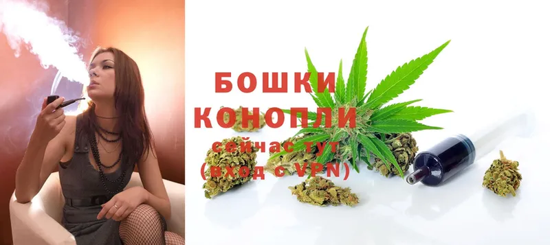 Шишки марихуана Ganja  hydra зеркало  Новодвинск  где продают наркотики 